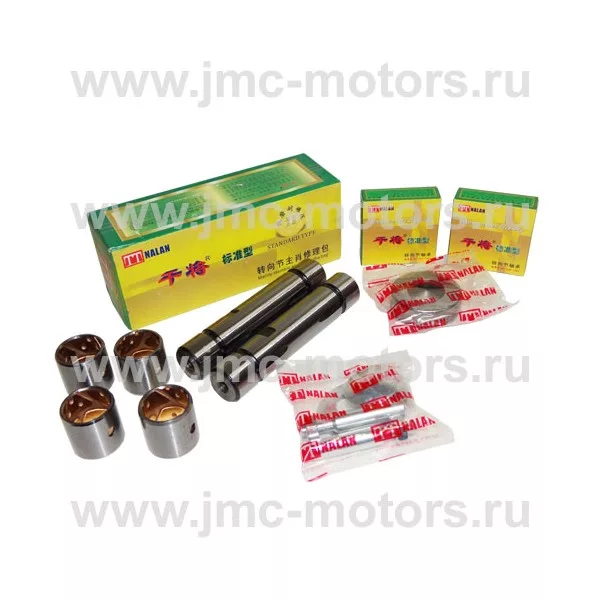 Ремкомплект шкворня BAW 33463 Tonik (Бав Тоник), 30112B2815, BJ130531107BXLB