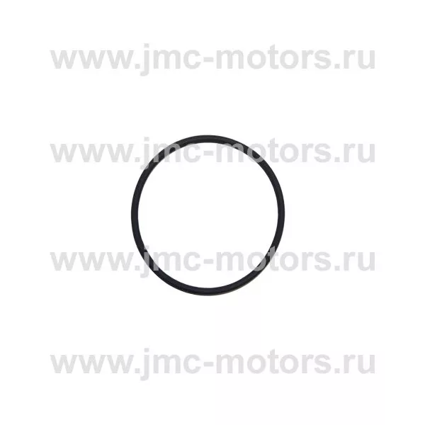 Кольцо масляное распредвала JMC 1051 Евро3, Евро4