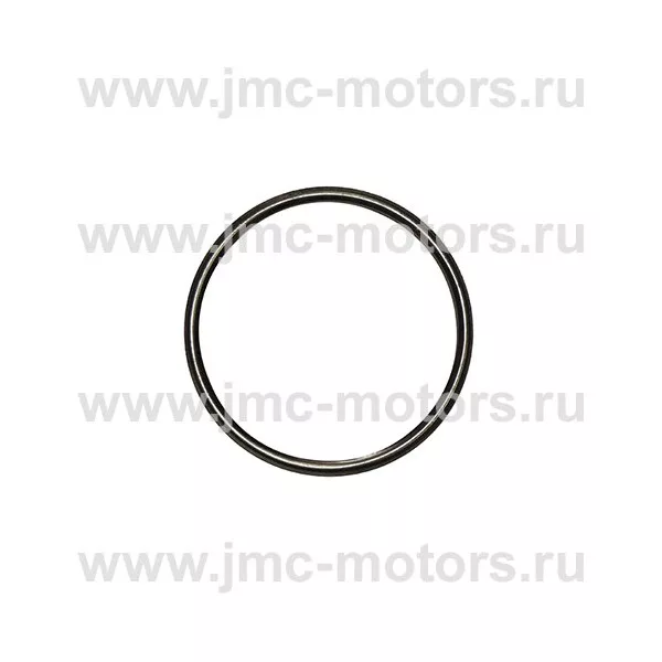 Прокладка глушителя (кольцо) Nissan Cabstar F24, дв. ZD30DDTI, 2069119U00