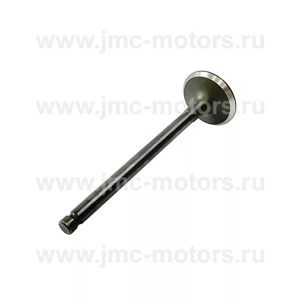 Клапан впускной BAW Tonik (БАВ Тоник) 33463, XG474QE1007013